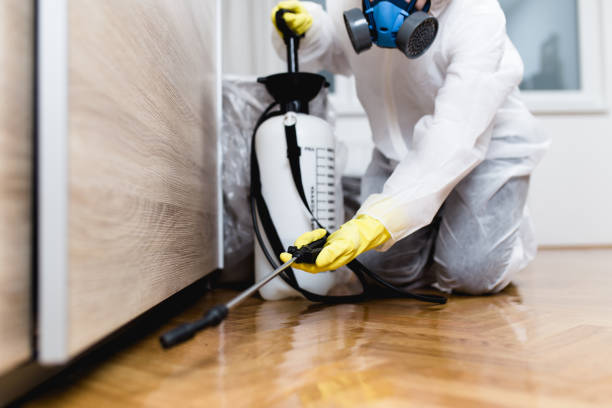 Trusted Horseshoe Bay, TX Pest Control Experts