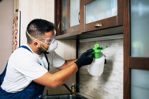 Best Commercial Pest Control Services  in Horseshoe Bay, TX