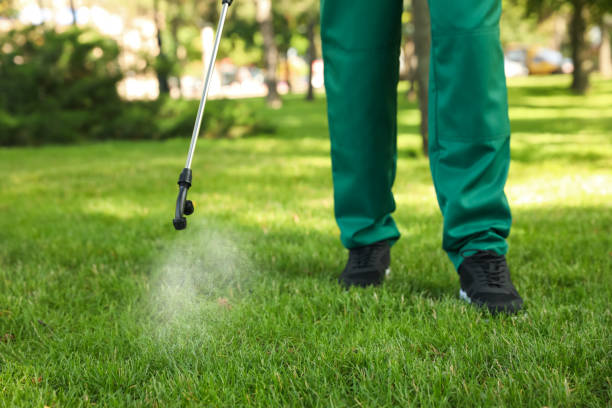 Best Flea Control Services  in Horseshoe Bay, TX