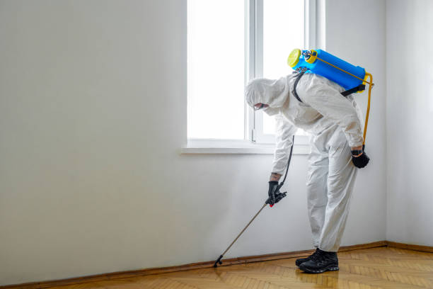 Best Affordable Pest Control Services  in Horseshoe Bay, TX