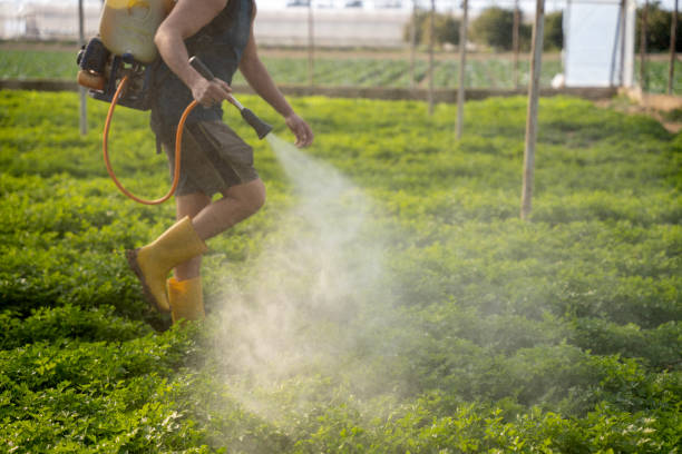 Best Insect Control  in Horseshoe Bay, TX