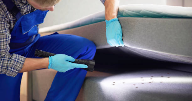  Horseshoe Bay, TX Pest Control Pros
