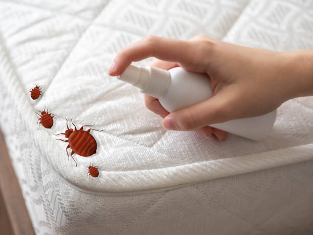 Best Exterminator Services  in Horseshoe Bay, TX